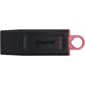 Kingston Clé USB Exodia 256GB