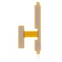 Nappe Volume A12 2020 (A125F)